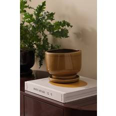Krukor, Plantor & Odling Ellos Kruka Juli Höjd 15 cm Brun