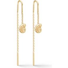 Studio Z Seashell Secrets Earchains Förgyllt-Silver Sterling