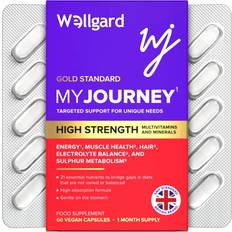 Wellgard Multivitamin Capsules 60ct B12 D3 Iron 60 pcs