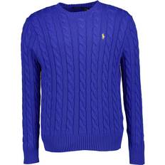 Polo Ralph Lauren Herren Pullover - Blau