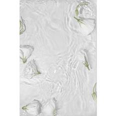 Venture Home Roses White Poster 21x30cm