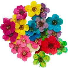 Panduro Torkade Blommor För Dekorera Charms Hängen UV - Avsedd