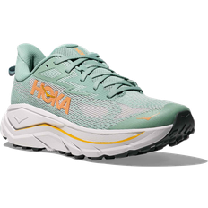 Hoka Challenger 8 Dam