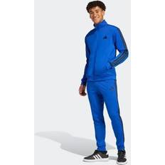 Adidas Blue Suits adidas Sportswear Trainingsanzug M 3S TR TT TS Basic 3-Streifen - Royal Blue