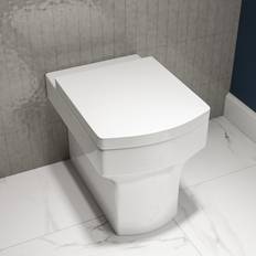Ashford Back To Wall Rimless Toilet Soft Close Seat