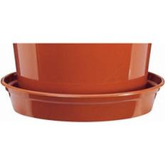 Plant Saucer Terracotta 12in