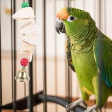 Parrot Bone For Dogs Bird Cuttlebone