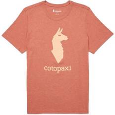 Gång & Vandring - Rosa Överdelar Cotopaxi Llama T-Shirt Herr - Rosa