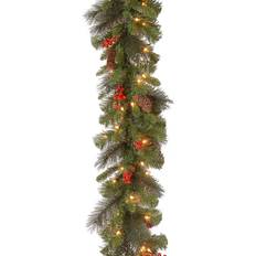 Party Supplies National Tree Company Garlands Crestwood Spruce with Clear Lights Green