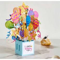 Shein Birthday Balloons Gift Pop-Up Box