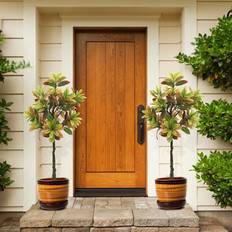 Tall artificial plants outdoor HYGRAD Tall Lush Green Indoor Outdoor 150 cm Artificial Plant