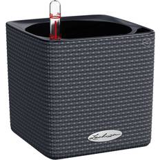 Lechuza Cube Color Pot - Slate Krukke