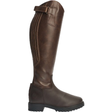 Aspen - Brown