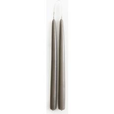 2-Pack Tapered Candles Mole