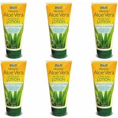 Aloe Pura Vera After Sun Lotion 200ml 6 Pack