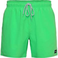 Green Swimming Trunks Rip Curl Mens Daily Volley Swimming Shorts - Green
