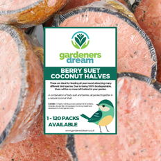 GardenersDream Berry Suet Filled Coconut Halves 60 Pack