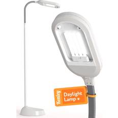 Kenley Daylight Reading Light Standing Floor Lamp