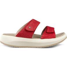 Joya Vienna II - Red
