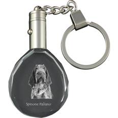 Lompakot ja Avaimenperät Art-Dog Bracco Spinoso Pendant With Photo Of A Dog - Transparent