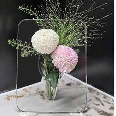 Acrylic Vases Shein Acrylic Photo Frame Hydroponics Vase