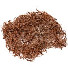 Curly Moss 50 Grams