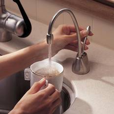 InSinkErator Brushed Steel Boiling Kitchen Sink