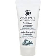 Odylique Rosemary Conditioner 20 ml