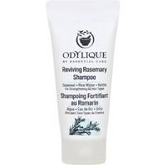 Odylique Reviving Rosemary Shampoo 20ml