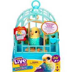 My Really Real Bird Cage Indie