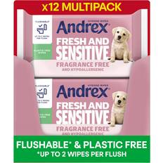 Wet Wipes Andrex Fresh Sensitive Hygiene Wipes 12 Pack