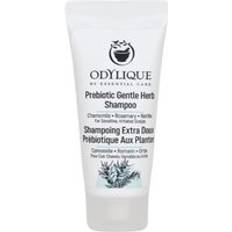 Odylique Prebiotic Gentle Herb Shampoo 20ml