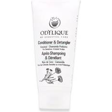 Odylique Conditioner Detangler 20ml