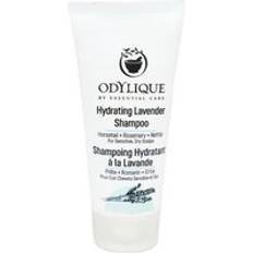 Odylique Lavender Hydrating Shampoo 20ml