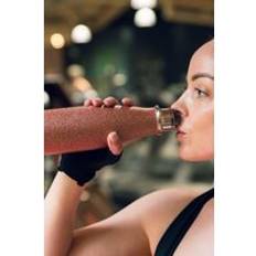 Double Walled Stainless Steel 500ml