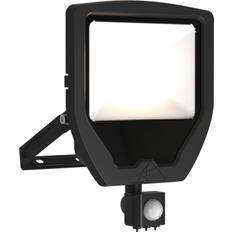 Ansell Lighting Spotlights Ansell Lighting Projektør Calinor Evo LED 50W 830 5000lm Spotlight