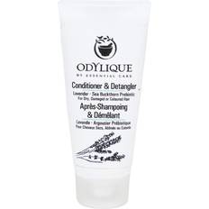Odylique Lavender Conditioner 20 ml