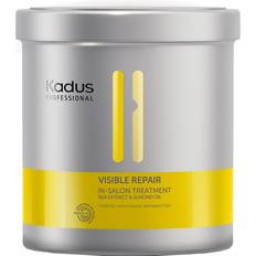 Professional Visible Repair Intensive Mask 750ml