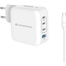 120550803101 100W Wall Charger