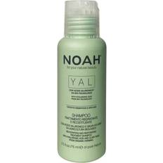 Rehydrating And Restorative Treatment Shampoo 75 ml