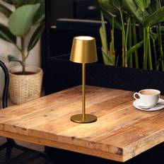 LED Roxi Guldfärgad Metall IP54