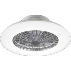 Trio Lighting R62522187 Titanium