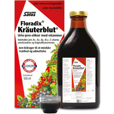 Floradix Kräuterblut 500ml