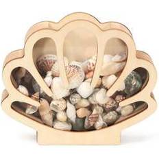Small Boxes Shein Shell Storage Display Tray With Transparent Cover Small Box