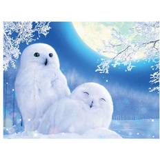 Blue Diamond Paintings Fiyo DIY Diamantgemülde Untergehende Sonne Landschaft
