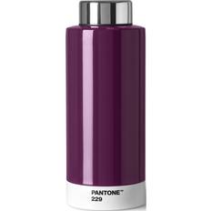 Thermo Drinking Bottle 500 ml