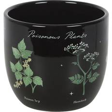 Something Different Poisonous Plants Pot