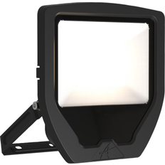 Ansell Lighting Lamper Ansell Lighting Projektør Calinor Evo LED 50W 830 5000lm 100° IP65 Bedlampe