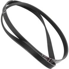 Electrolux White Goods Accessories Electrolux Washing Machine Belt 1323531309