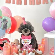 Adjustable Lightweight Birthday Hat Kit